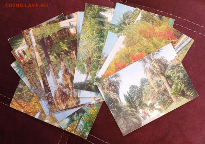 СОЧИ открытки СССР 1981,1984 до 30.01.26 - 20260126_122955