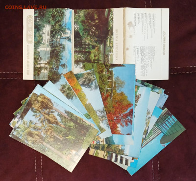 СОЧИ открытки СССР 1981,1984 до 30.01.26 - 20260126_104412