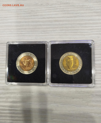 КК-филин и козёл. В капсулах. Блиц. - IMG_20260126_191518