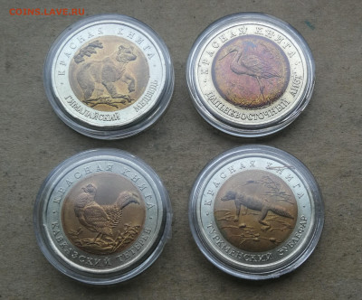 50 руб 1993г Красная книга 4 монеты до 2.02 в 22-00 - IMG_20260127_172358