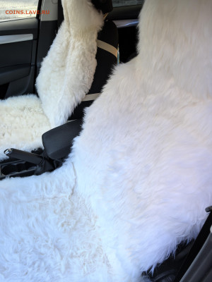 Re: Меховые чехлы на сиденья авто натуральные фикс - IMG_20250309_154739
