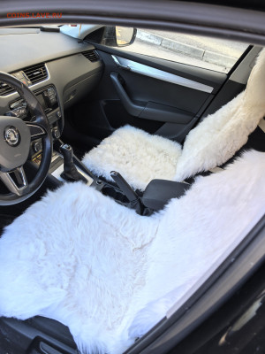 Re: Меховые чехлы на сиденья авто натуральные фикс - IMG_20250309_154718
