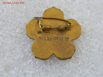 Фестиваль ромашка Китай ???? - DSCN7419.JPG