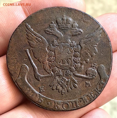 5 копеек 1764 г ЕМ до 29.01.26 г. до 22-00 МСК - IMG_20260128_084816