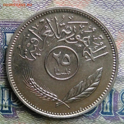 Ирак 25 филсов 1981 года до 02.02.2026 - IMG_20260128_222117