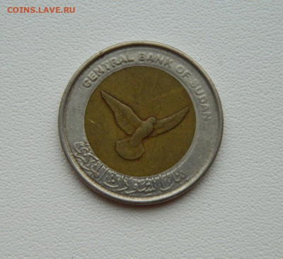 Судан 50 пиастров 2006 г. (БИМ) Фауна С рубля! до 04.02.26 - DSCN0079.JPG