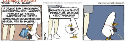 Цифрофик олимпус на оценку - про винтажное фото