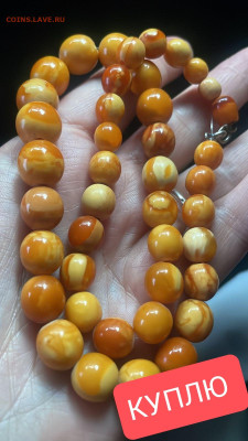 Куплю Зуб Кашалота,Будда Бронза,Янтарь, Коралл - IMG_20251030_131805