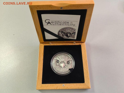 Монголия 500 тугриков 2016 Сокол балобан, Ag999, до 06.02 - Ю Монголия Сокол-1