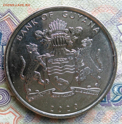 Гайана 100 долларов 2020 года до 02.02.2026 - IMG_20260125_223030