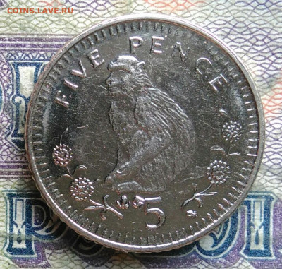 Гибралтар 5 пенсов 2003 года до 02.02.2026 - IMG_20260125_222755