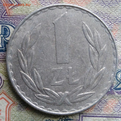 Польша 1 злотый 1981 года до 02.02.2026 - IMG_20260125_055636