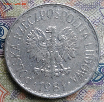 Польша 1 злотый 1981 года до 02.02.2026 - IMG_20260125_055653