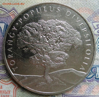 Казахстан 100 тенге 2020 года до 02.02.2026 - IMG_20260125_063354