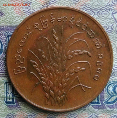 Мьянма 25 пья 1980 года до 02.02.2026 - IMG_20260128_220119