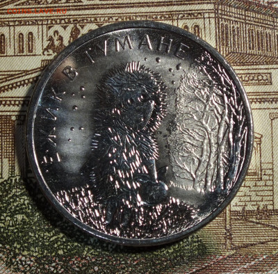 Ёжик в тумане до 1.02.26г - DSCF2245.JPG