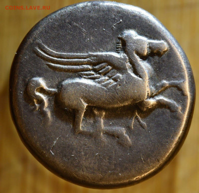 Статер Левкаса. Подлинность и атрибуция - photo_2026-01-31_23-44-46