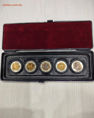 Кк-5 монет в футляре. Блиц. - IMG_20260127_192514