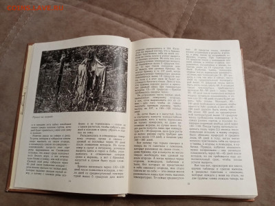 Школа юннатов до 06.02.26 в 22:00 по мск - IMG_20260131_193807