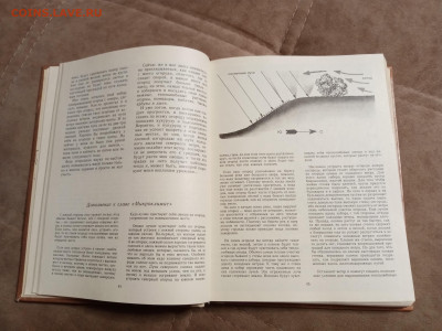 Школа юннатов до 06.02.26 в 22:00 по мск - IMG_20260131_193748