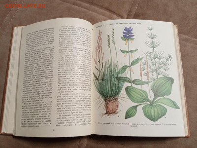 Школа юннатов до 06.02.26 в 22:00 по мск - IMG_20260131_193729