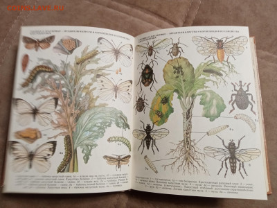 Школа юннатов до 06.02.26 в 22:00 по мск - IMG_20260131_193650