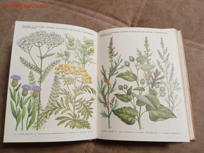 Школа юннатов до 06.02.26 в 22:00 по мск - IMG_20260131_193640