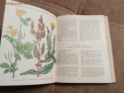 Школа юннатов до 06.02.26 в 22:00 по мск - IMG_20260131_193631