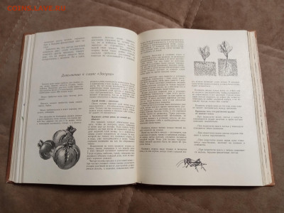 Школа юннатов до 06.02.26 в 22:00 по мск - IMG_20260131_193620