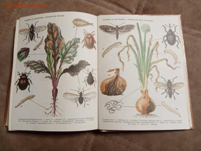 Школа юннатов до 06.02.26 в 22:00 по мск - IMG_20260131_193551