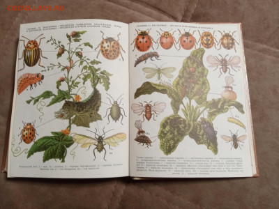 Школа юннатов до 06.02.26 в 22:00 по мск - IMG_20260131_193542