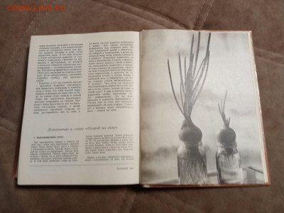 Школа юннатов до 06.02.26 в 22:00 по мск - IMG_20260131_193503