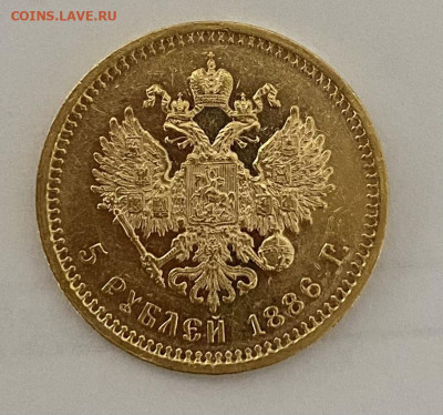 5 рублей 1886 г, на оценку - IMG_1742