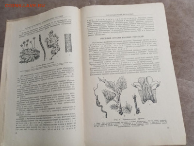 Ботаника 1964г до 06.02.26 в 22:00 по мск - IMG_20260131_215617