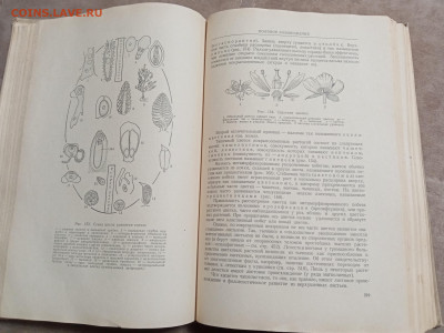 Ботаника 1964г до 06.02.26 в 22:00 по мск - IMG_20260131_215547