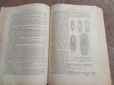 Ботаника 1964г до 06.02.26 в 22:00 по мск - IMG_20260131_215537