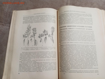 Ботаника 1964г до 06.02.26 в 22:00 по мск - IMG_20260131_215527
