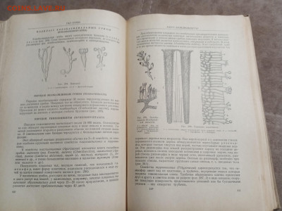 Ботаника 1964г до 06.02.26 в 22:00 по мск - IMG_20260131_215517