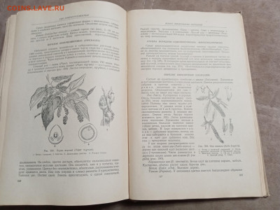 Ботаника 1964г до 06.02.26 в 22:00 по мск - IMG_20260131_215507