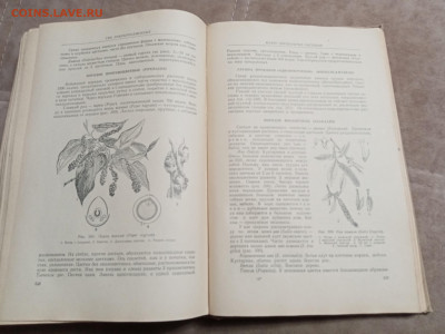 Ботаника 1964г до 06.02.26 в 22:00 по мск - IMG_20260131_215456