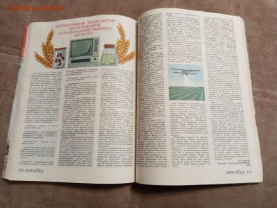 Сельский календарь 1987г до 06.02.26 в 22:00 по мск - IMG_20260131_220949