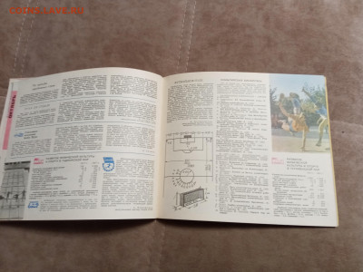 Календарь спорт 1968г до 06.02.26 в 22:00 по мск - IMG_20260131_221932