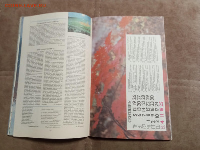 Молодёжный календарь 1988г до 06.02.26 в 22:00 по мск - IMG_20260131_224047