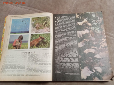 Сельский календарь 1977г до 06.02.26 в 22:00 по мск - IMG_20260131_232634