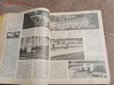 Сельский календарь 1977г до 06.02.26 в 22:00 по мск - IMG_20260131_232623