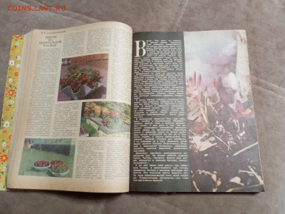 Сельский календарь 1977г до 06.02.26 в 22:00 по мск - IMG_20260131_232552