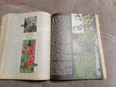 Сельский календарь 1977г до 06.02.26 в 22:00 по мск - IMG_20260131_232524