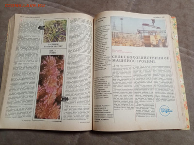 Сельский календарь 1977г до 06.02.26 в 22:00 по мск - IMG_20260131_232455