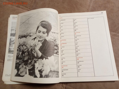 Настольный календарь 1976г.до 06.02.26 в 22:00 по мск - IMG_20260131_235935