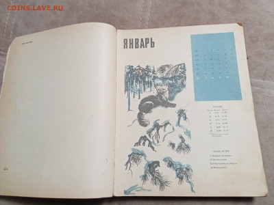 Лесной календарь 1968г. До 06.02.26 в 22:00 по мск - IMG_20260201_000938